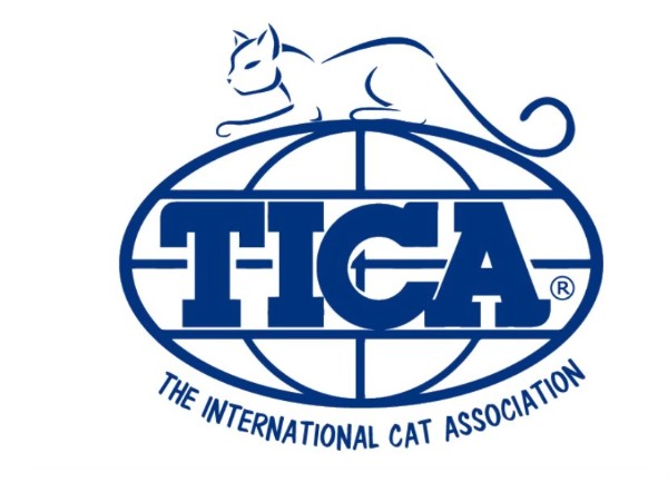 The International Cat Association